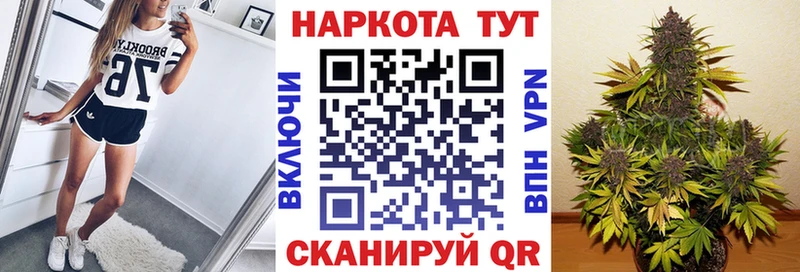 Где купить наркоту Кинешма Бошки Шишки  Псилоцибиновые грибы  mega ONION  ГАШИШ  Меф мяу мяу  COCAIN 