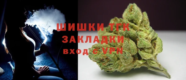 мяу мяу мука Инта