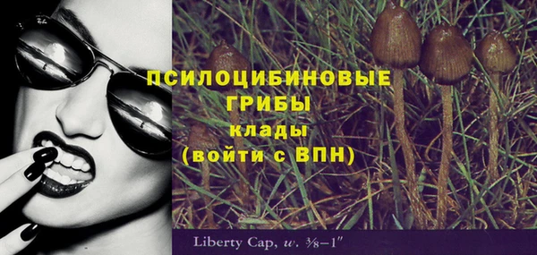спайс Карталы