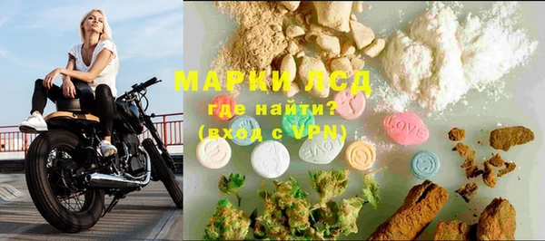 дмт Нея