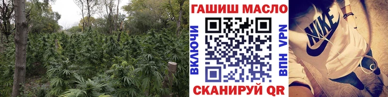 где можно купить   Кинешма  ТГК концентрат 